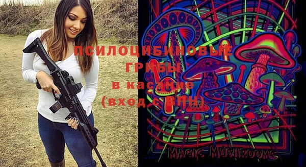 МДПВ Аркадак