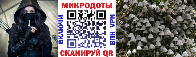 даркнет наркотические препараты  Ипатово  Галлюциногенные грибы мицелий 